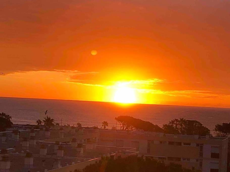 לה לבאנדו Appartement Vue Mer Au Lavandou מראה חיצוני תמונה